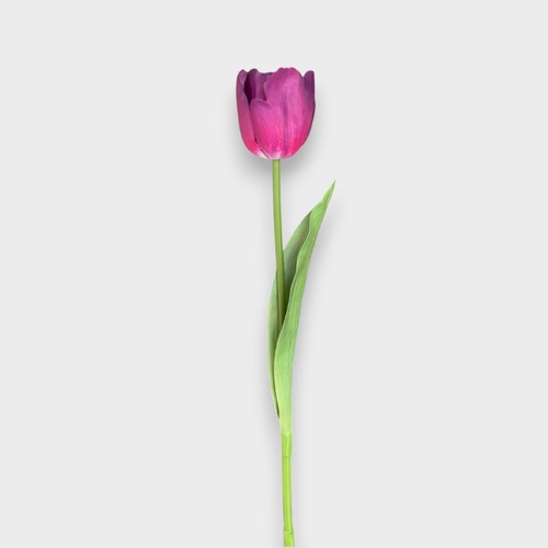 Tulip Stem HF5483PUR