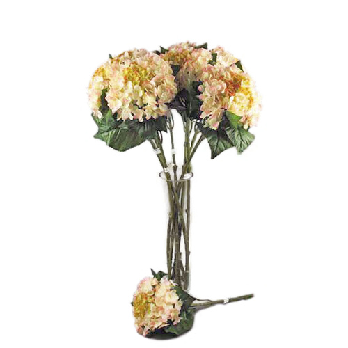 Hydrangea HH100-PNK