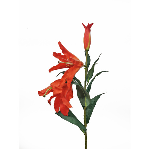 Casablanca Lily HH144-RED