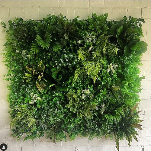 Custom Green Wall 1000 x 1000 mm HJ019