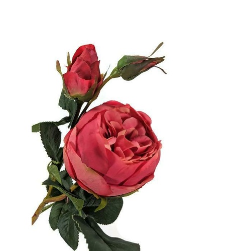 Single rose  w/bud HU0004-CO