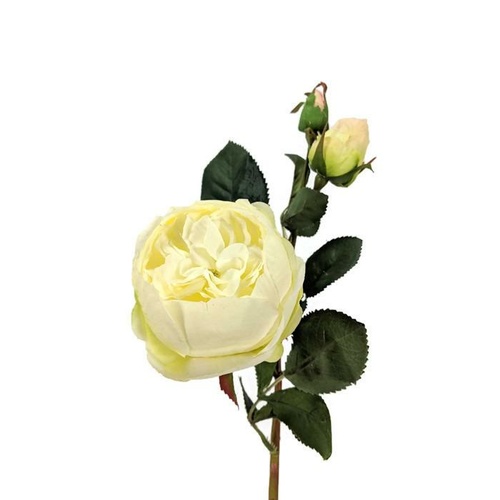 Single rose bud HU0004-CR