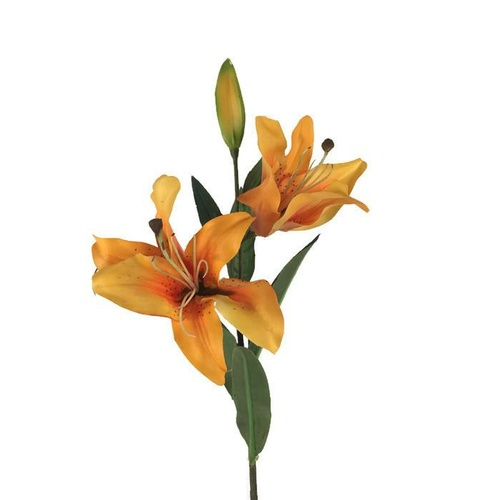 Tiger Lily HU0013