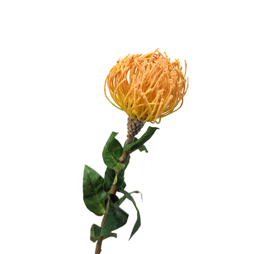 Pincushion HU0022-OR