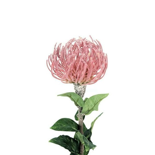 Pincushion HU0022-PNK