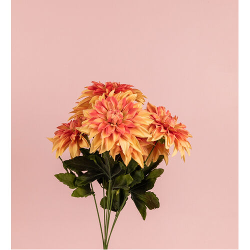 7 head Dahlias Bunch HU0026-ORG