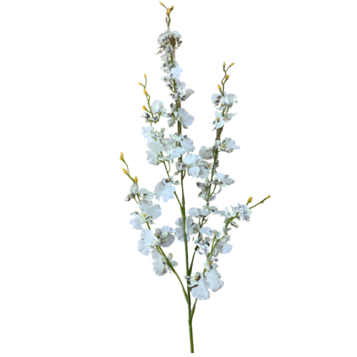 Dancing Lady Orchid HU0035-WHT