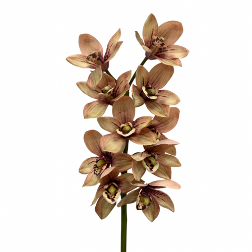 Real Touch cymbidium Orchid HU0037-LAT