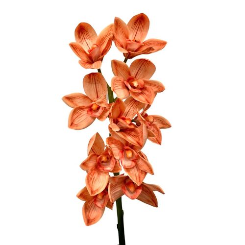 Real Touch cymbidium Orchid HU0037-OR