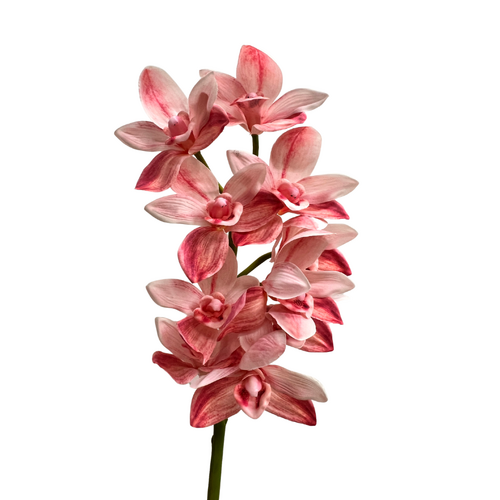 Real Touch cymbidium Orchid HU0037-PNK