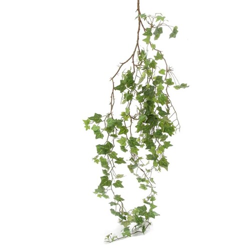 Large Ivy Bush Hanging I48gr