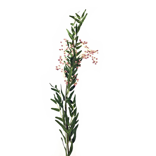 Pepper Tree Berry JI2102-PNK