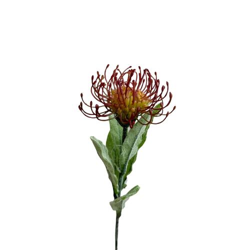 Single Pincushion Leucospermum JI2103-MV