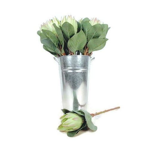 Single King Protea JI2117 GR