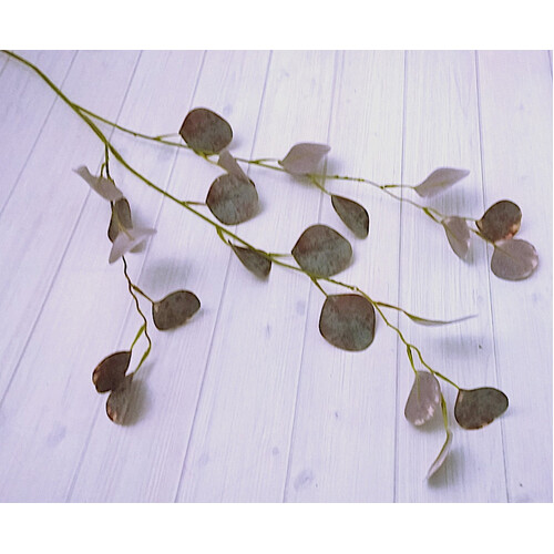 Eucalyptus Drop Leaf Dollar Gum Spray JI2121BG
