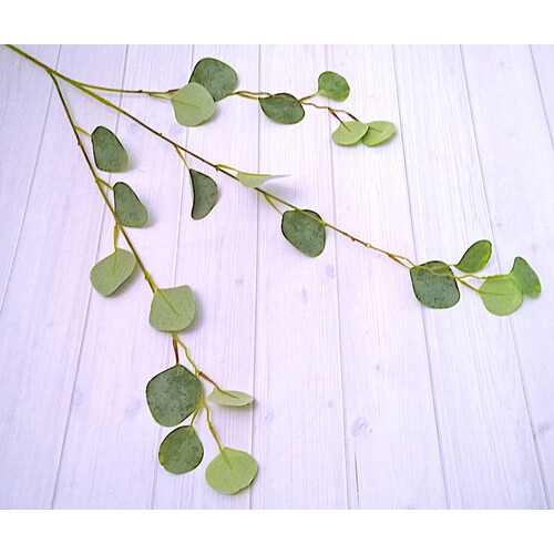 Eucalyptus Drop Leaf Dollar Gum Spray JI2121GR