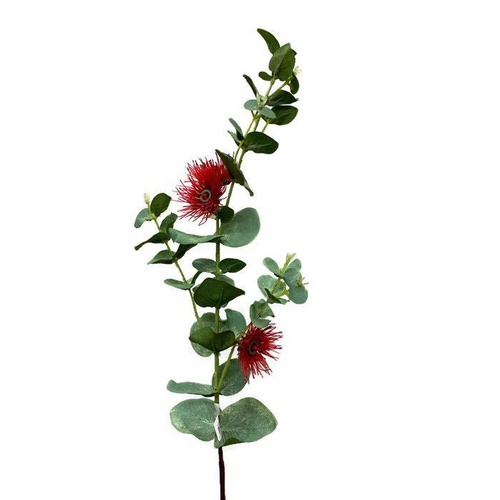 Eucalyptus Flowering gum JI2127-RD