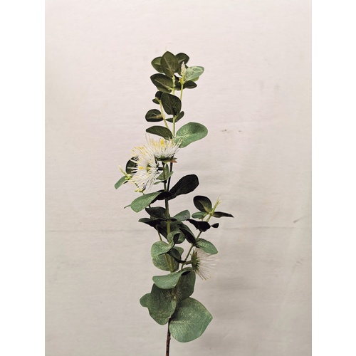 Eucalyptus Flowering Gum JI2127-WH