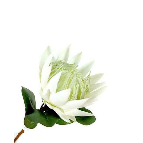 King Protea Spray JI2133-WH