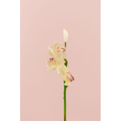 Real Touch cymbidium Orchid x 3 heads JI2296-WH