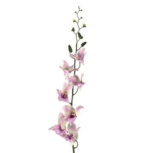 Singapore Orchid JI2304-LILAC