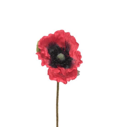 Flanders Poppy JI2312