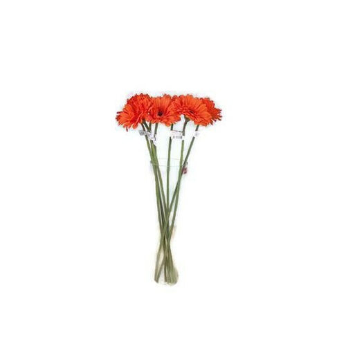 Single Gerbera JI2324-OR