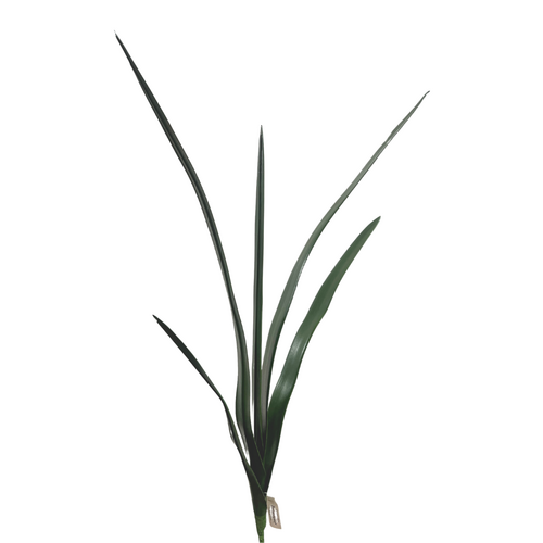 Orchid Leaf Bush Large Cymbidium Leaf JI2349