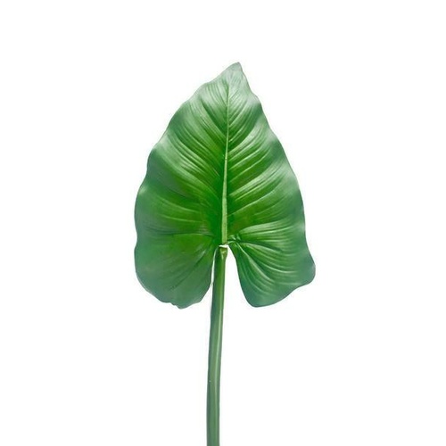 Calla Lily Leaf JI2392