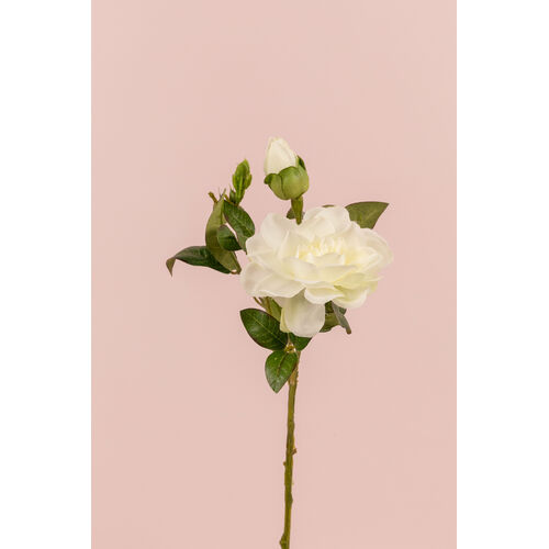Gardenia Spray JI2396