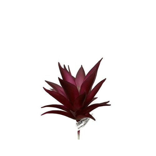 Cacti Agave JI2400-RD