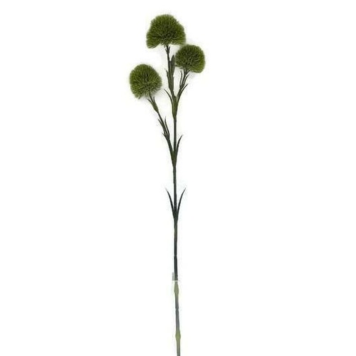 Dianthus Spray JI2447