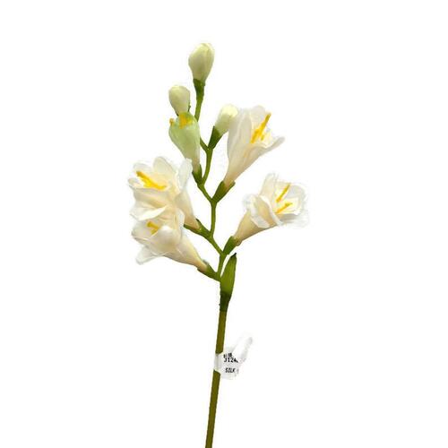 Freesia Single Stem JI2466-CR