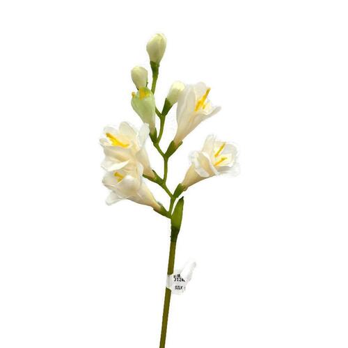 Freesia Single Stem JI2466-CR