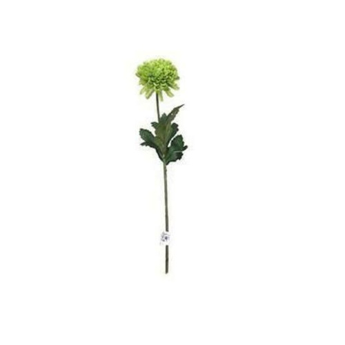 Chrysanthemum Mini Ball JI2467-GR