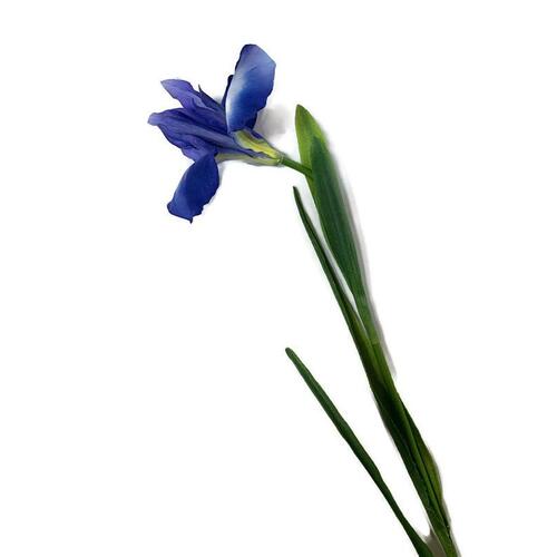 Iris JI2470BL