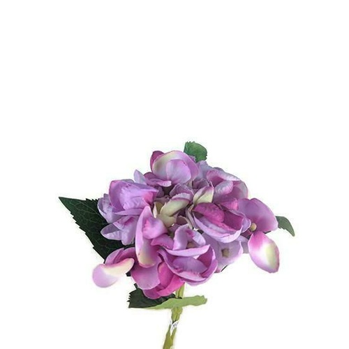 Baby Hydrangea JI2486-LIL