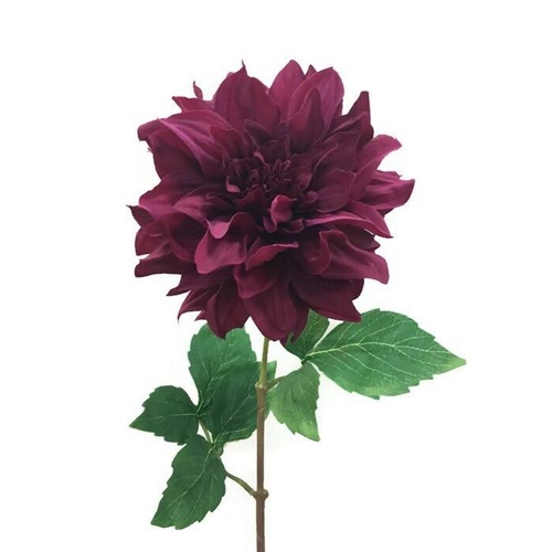 Large Dahlia w/curl petals JI2495BG