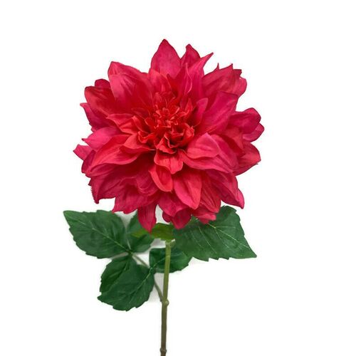 Large Dahlia w/curl petals JI2495CO