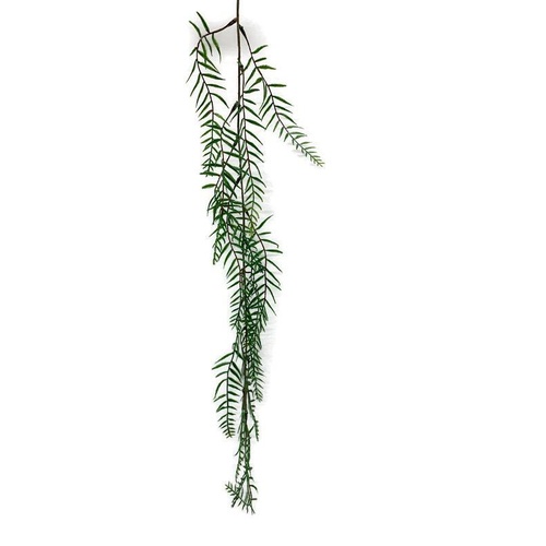 Peppercorn Leaf Foliage JI2512