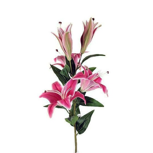 Large Casablanca Lily Spray JI2602-HPNK