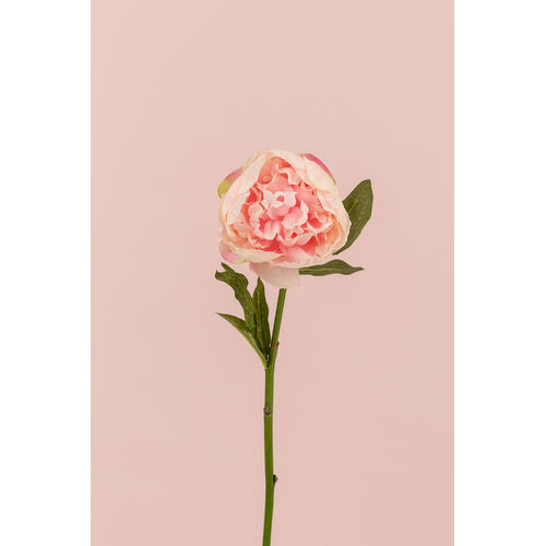 Single Peony Stem JI2608-PNK