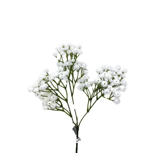 Babys Breath Real Touch
