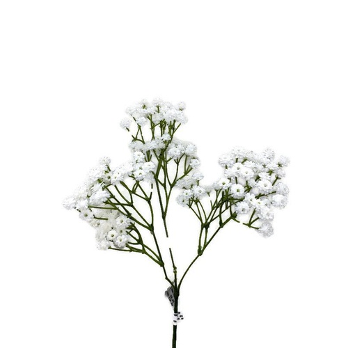 Real touch Baby's Breath JI2620