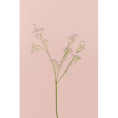 Baby's breath JI2620F_PNK