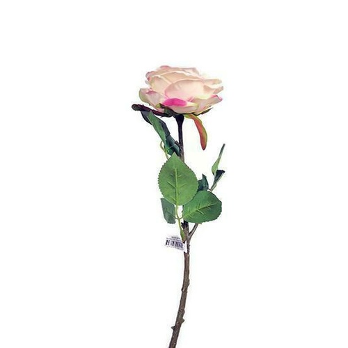 Single English Rose JI2630-SOFT PNK