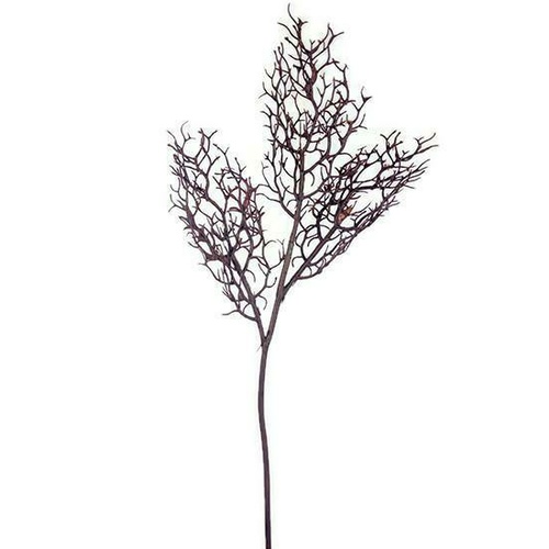 Coral Branch JI2640-BR