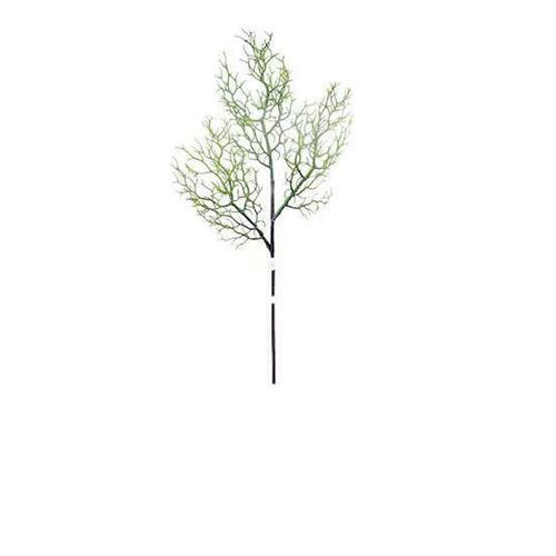 Coral Branch JI2640-GRN