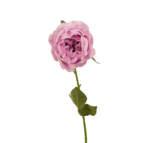 Real Touch David Austin Rose JI2651-LI