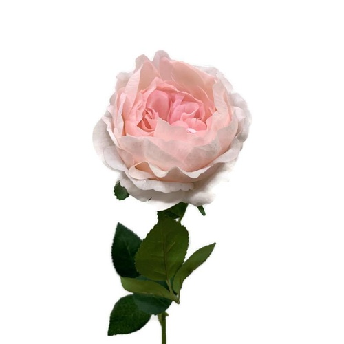 Real Touch David Austin Rose JI2651-SPK
